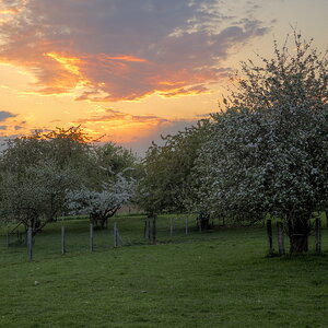 P5041168-P5041172-dprf.jpg