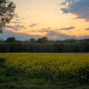 P5041178-P5041182-dprf.jpg