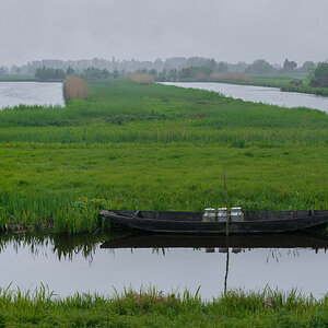 23-05-08C-DPR.jpg
