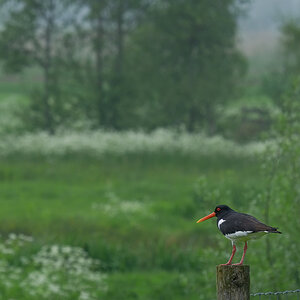 23-05-08D-DPR.jpg