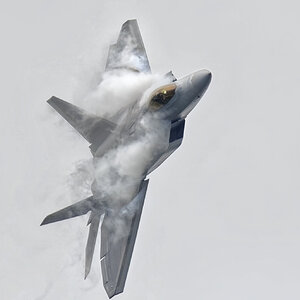 1 Jet F22 sf.jpg