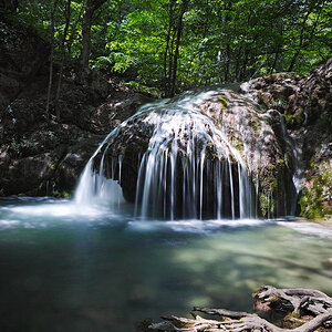 _DQH7422_1920.jpg