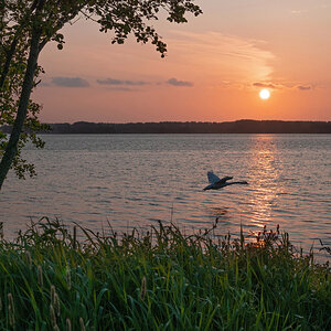 23-05-28A-DPR.jpg