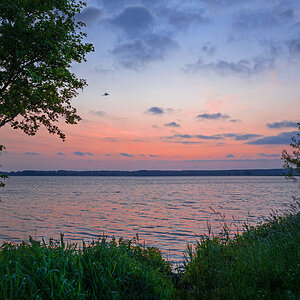 23-05-28B-DPR.jpg