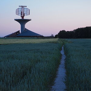 P6031744-dprf.JPG