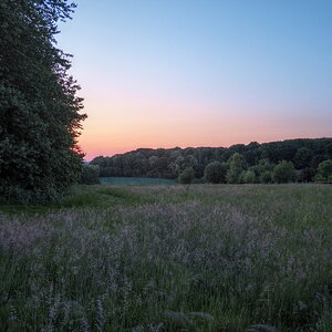 P6031750-P6031754-dprf.jpg