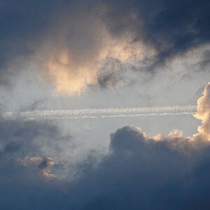 P6232098-dprf.JPG