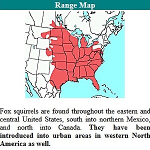 FoxSqMap.jpg