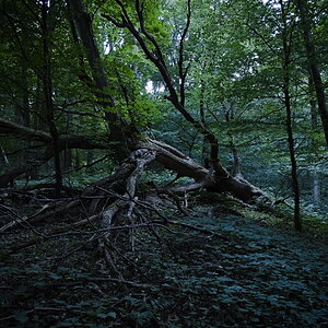 P7022172-dprf.jpg