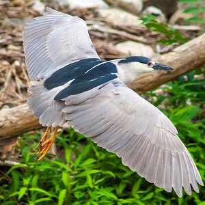 DSC_0276 (2) smaller.jpg