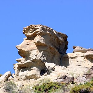 DRIMG_0700.jpg