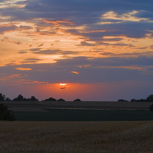 P7142261-dprf.jpg