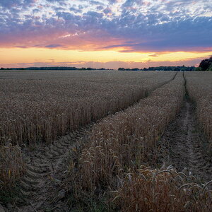 P7182288-P7182292-dprf.jpg