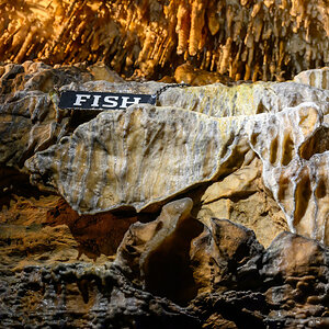 Ruby Falls 230723 - 8.jpg