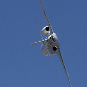 850_7458.jpg
