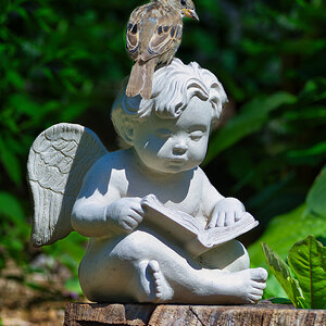 NIK_9077 final sparrow on statue.jpg