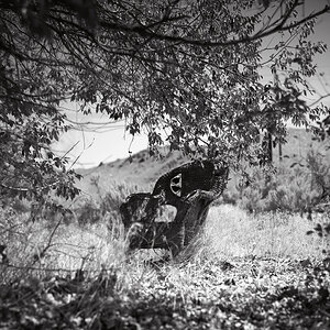 2018_8_19 Abandoned Chair 2023 1.jpg