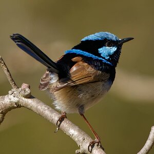 IMG_3688.jpg