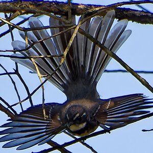 IMG_3836_DxO.jpg