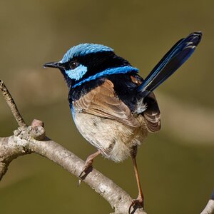 IMG_3663_DxO.jpg