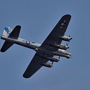 53190187403_e4eaf1cb28_6k.jpg