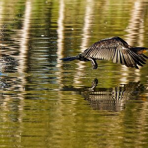 IMG_3998_DxO.jpg
