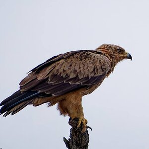 IMG_5057_DxO.jpg