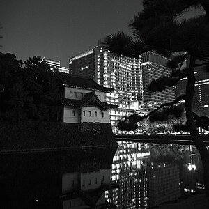 PC102630-dprf.jpg