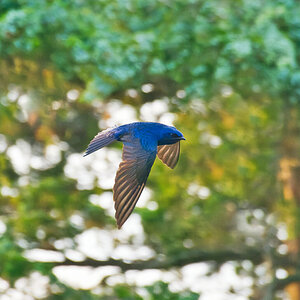 DSC_7119 final.jpg