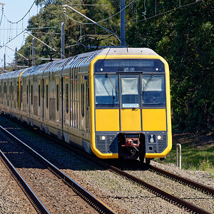 P1006451_DxO.jpg