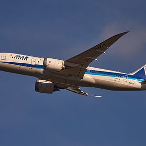 ana-787-small.jpg