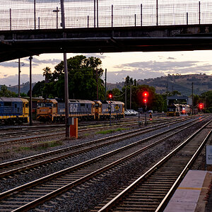 Cootamundra 07.jpg