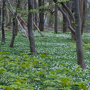 P3290169-dprf.jpg