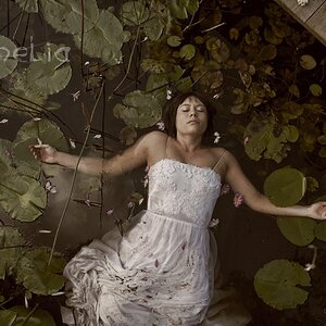 IMG_0028-012-Ophelia-01C.jpg