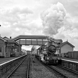 aDSC_0969 B&W.jpg