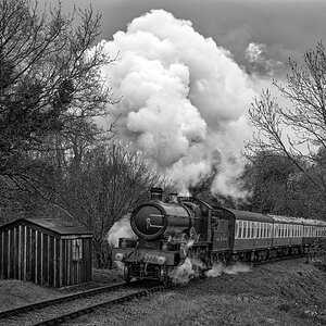 aDSC_1237 B & W.jpg