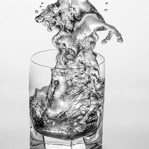 Glass water horse.jpg
