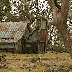 Wallace Hut 0508.jpg