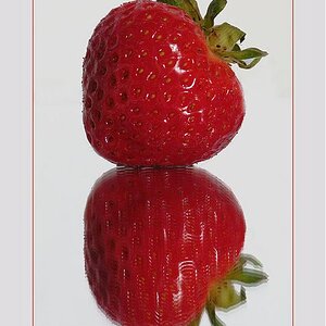 strawberry2.jpg