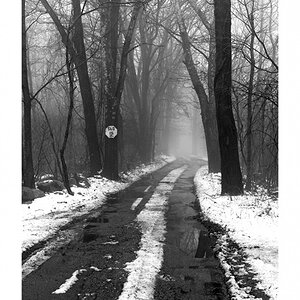 A_04291_prv.jpg