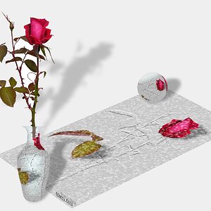 Rose11.jpg