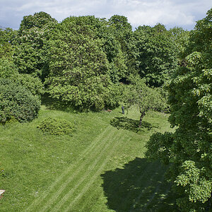 850_8402.jpg