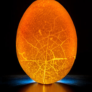 Cracked Egg.jpg