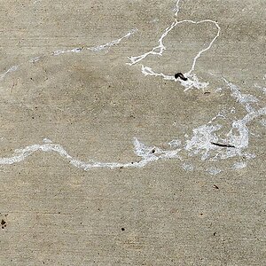 IMG_2021.jpeg