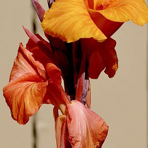 IMG_2070.JPG