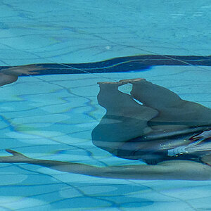 850_3753.jpg