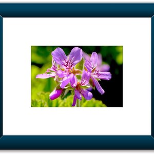 Color Framed (A1).jpeg
