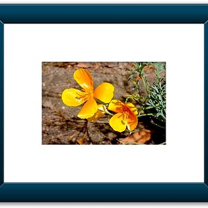Color Framed (A4).jpeg