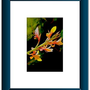 Color Framed (A2).jpeg