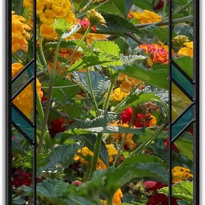 Thro' window (2A).jpg